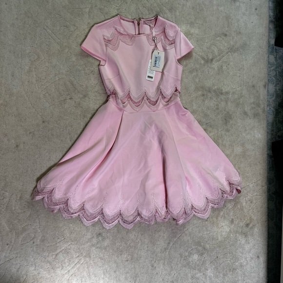 **SOLD** Ted Baker Rehanna Embroidered Dress Baby Pink size US 4 NWT (TB 1) - Picture 4 of 7